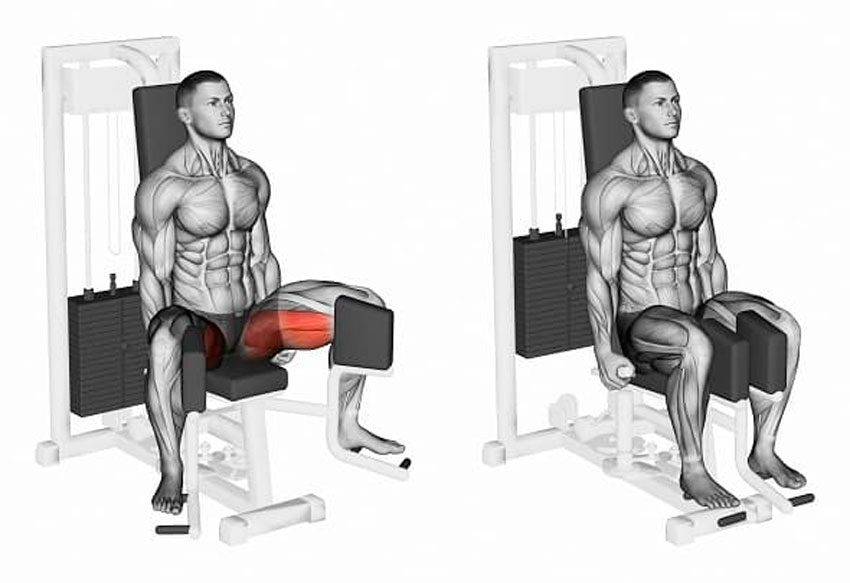 Ягодичный мостик со штангой