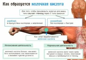 Боль в мышцах после тренировки. что делать, если болят мышцы?