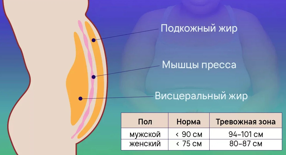Убираем жир с живота