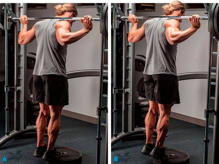 Подъемы на носки стоя и сидя