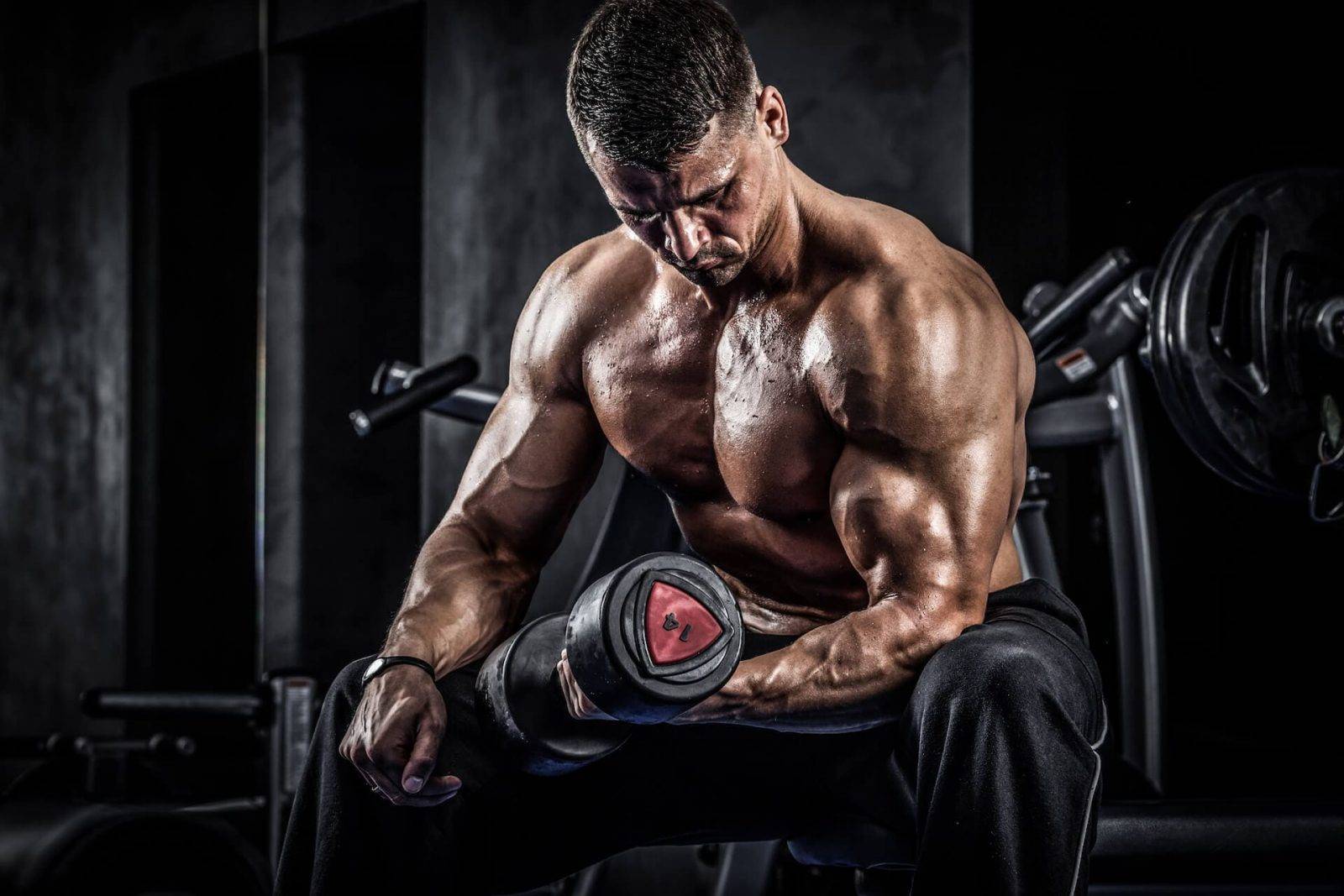 Креатин: что дает в спортивном питании, польза и вред, побочные эффекты