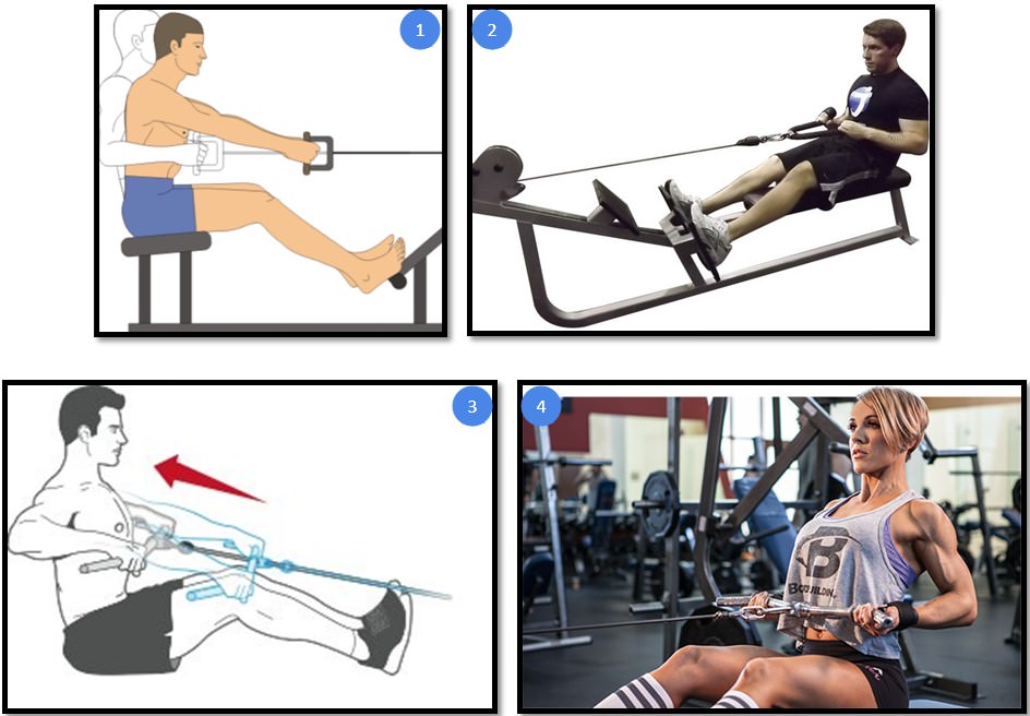 Тяга горизонтального блока к поясу