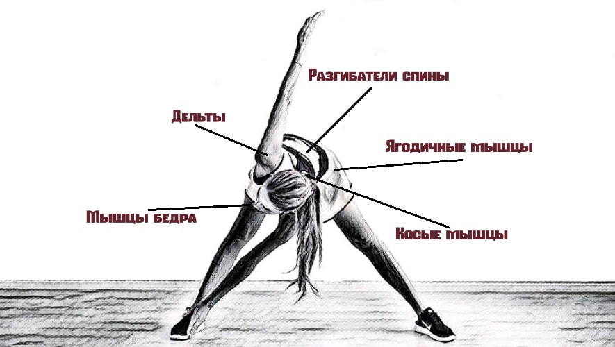 Как правильно делать упражнение мельница