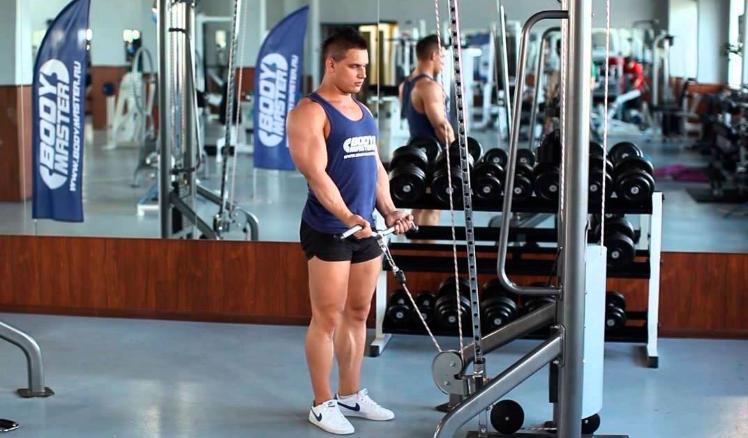 Подъем штанги на бицепс стоя