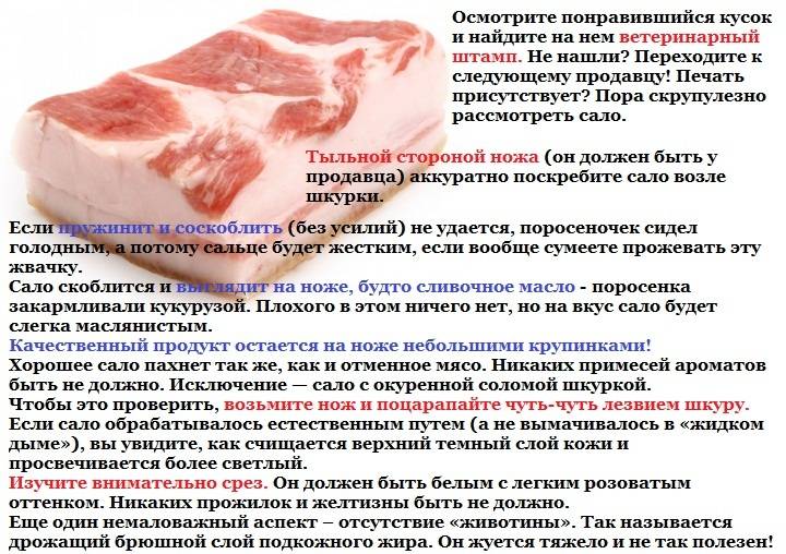 Свиное сало – польза и вред для организма