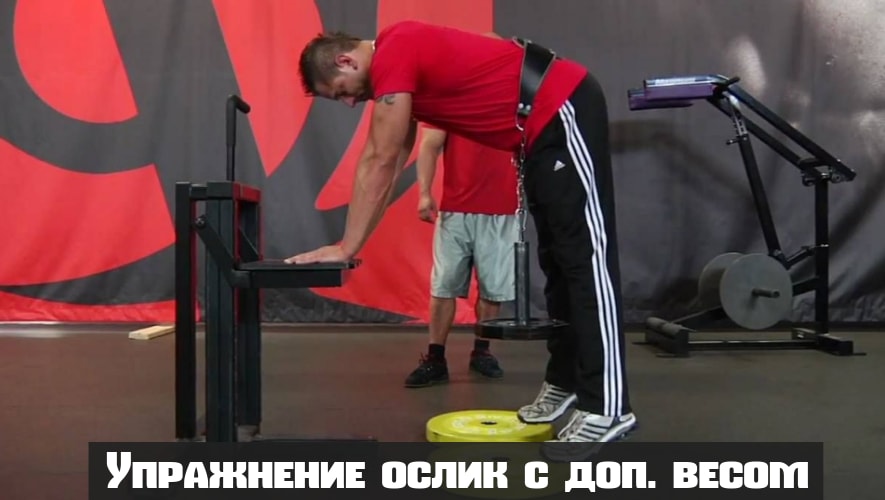 Упражнение ослик