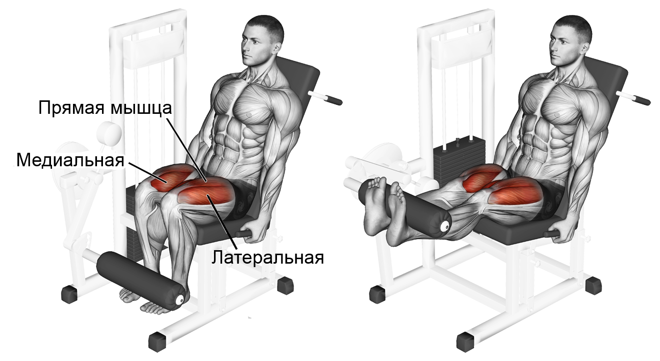 Сведение ног в тренажере