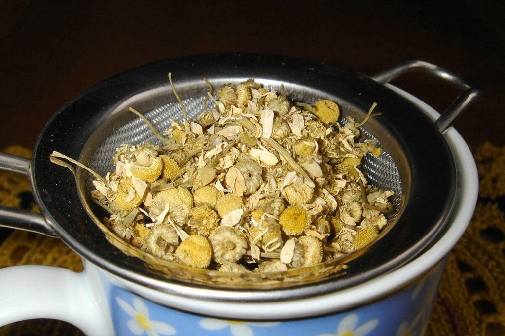 Ромашковый чай перед сном
