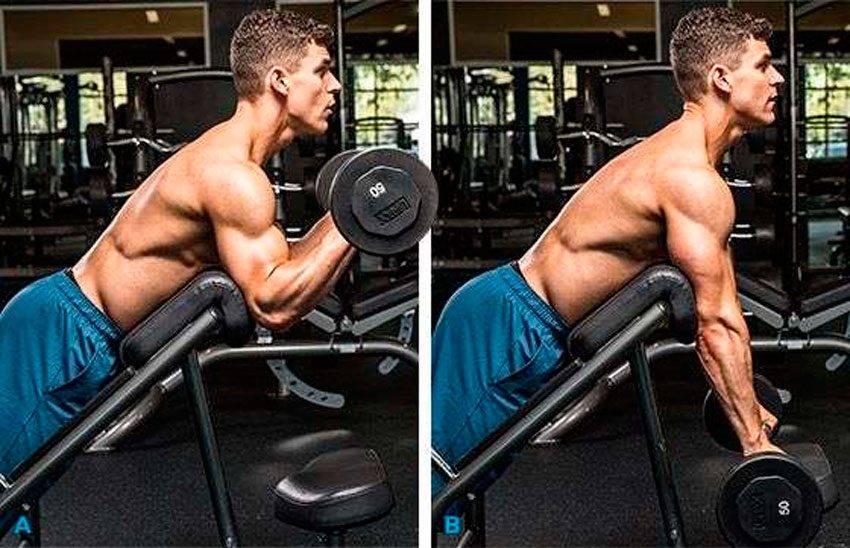 Сгибание рук на нижнем блоке с перекладиной