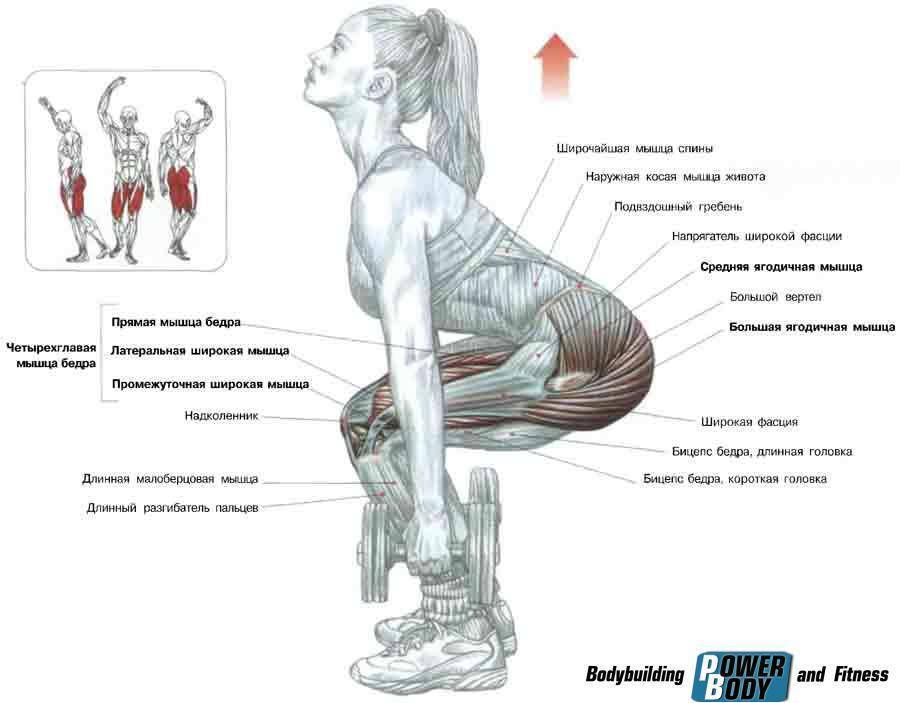 Прокачай на максимуме свои ягодицы: болгарские выпады назад