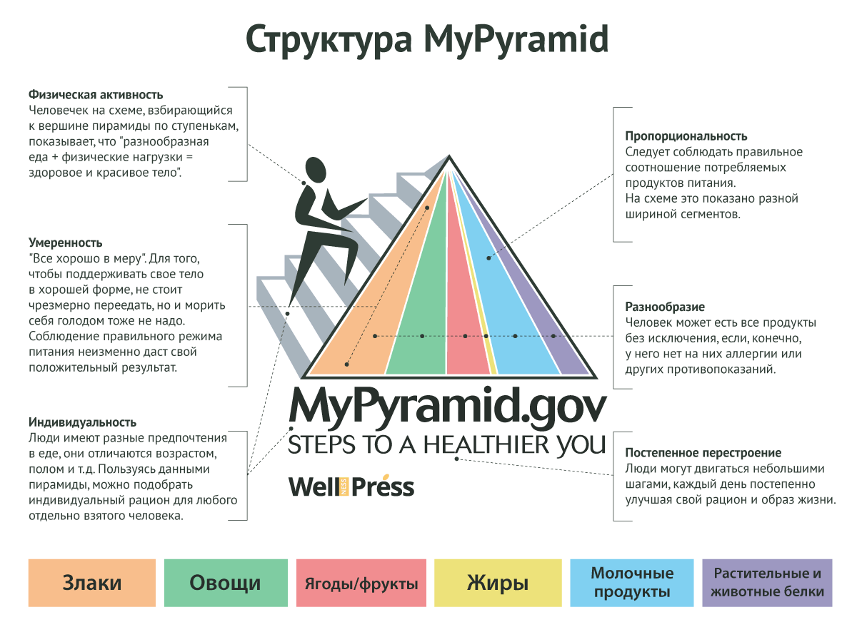Пирамида здорового питания