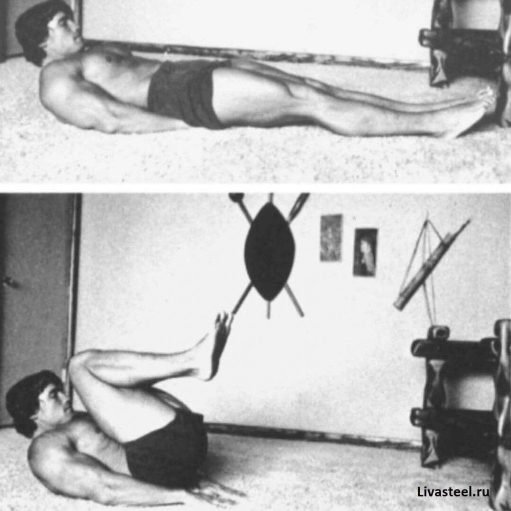 Программа тренировок Арнольда Шварценеггера — как тренировался знаменитый атлет?