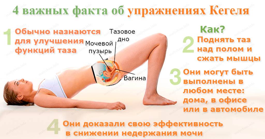 Триместры в спорте и фитнесе во время беременности