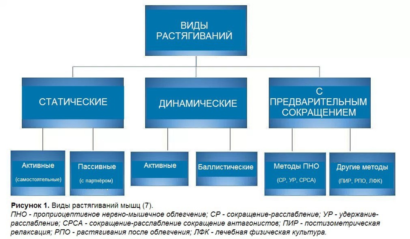 Растяжка мышц после тренировки