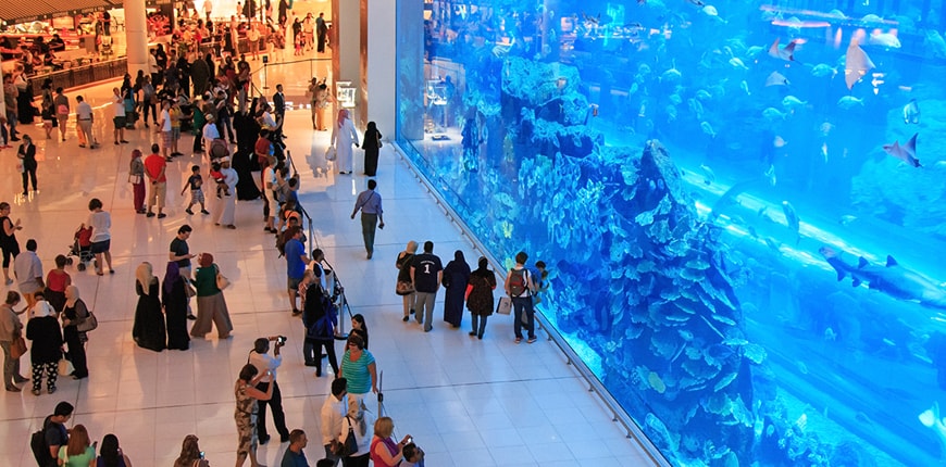 Путешествие в Дубай