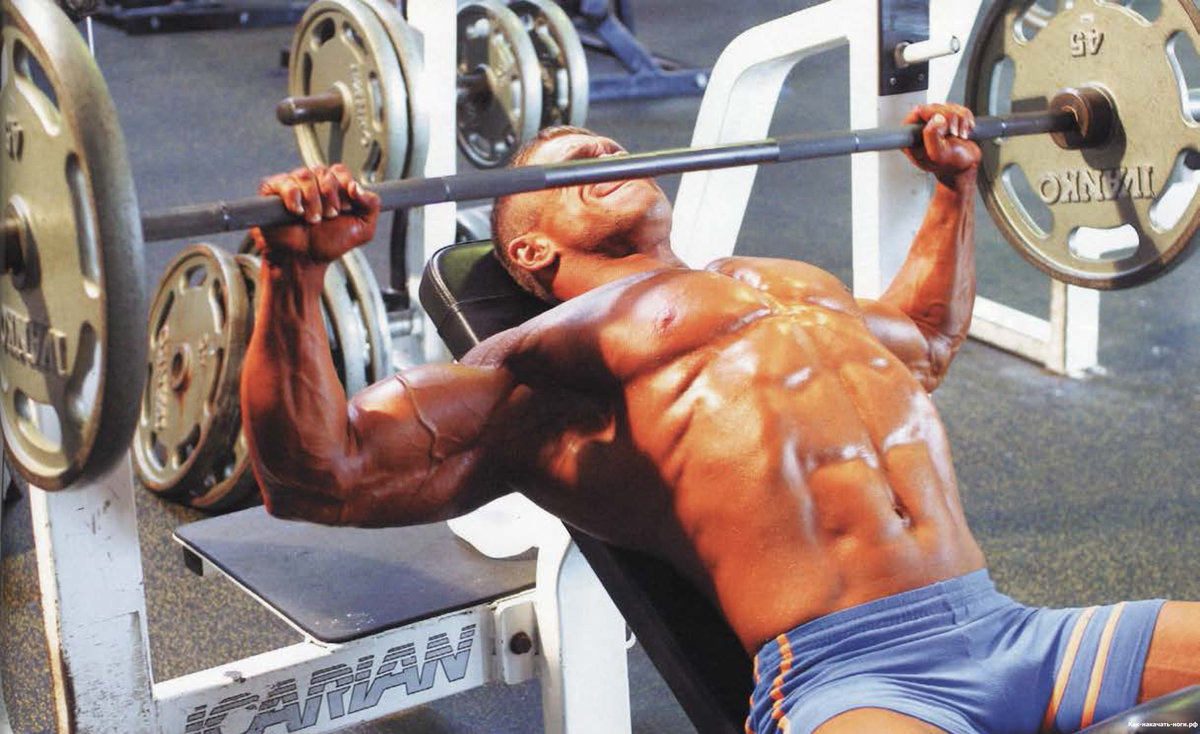 Жим штанги лежа