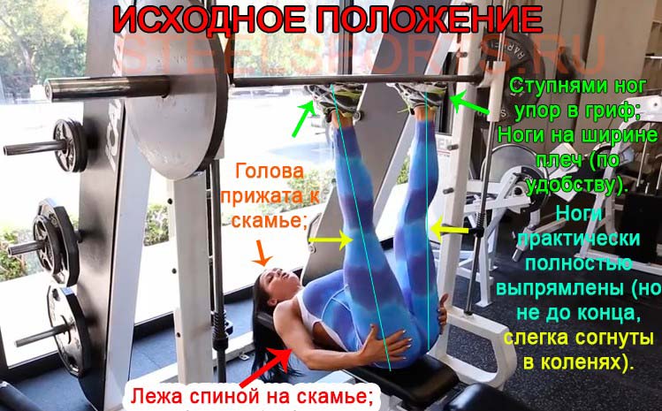 Жим ногами сидя: техника выполнения, ошибки