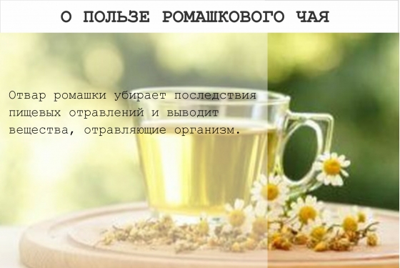 10 новых фактов о зеленом чае