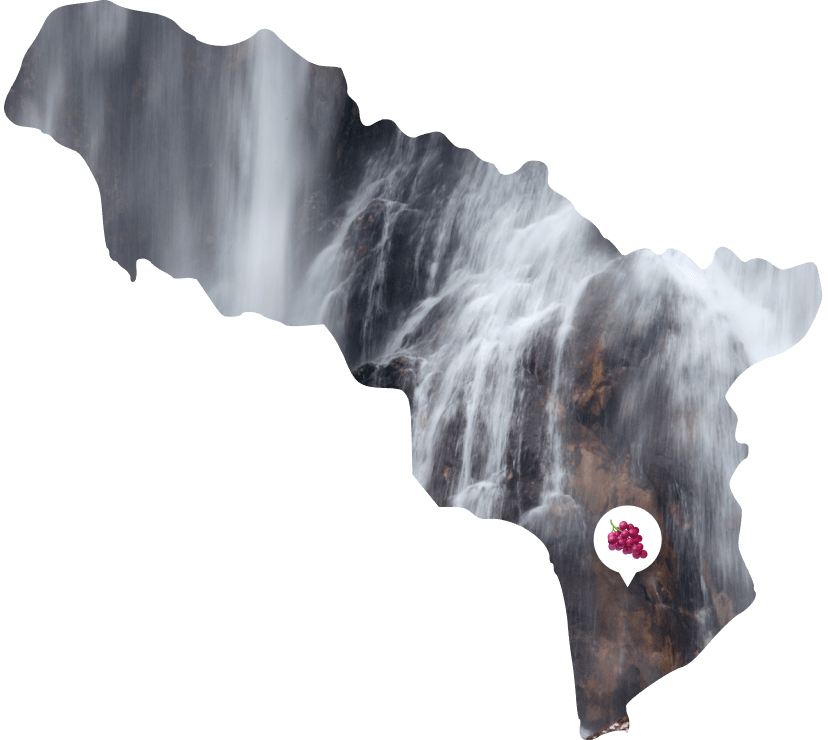 Про путешествия