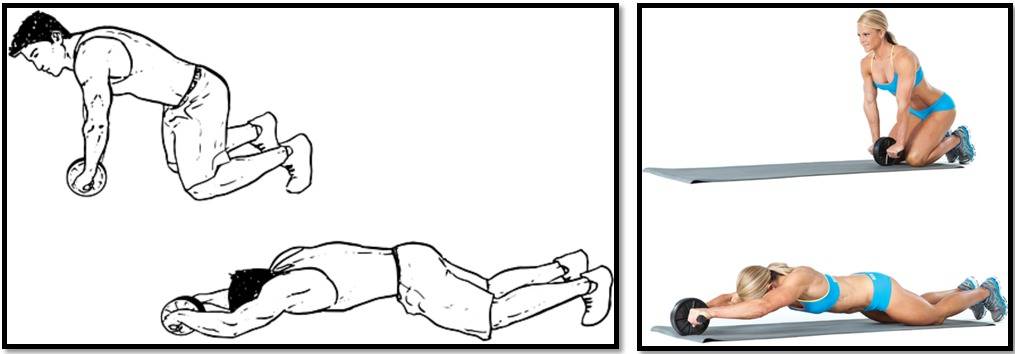 Лучшие упражнения на спину для девушек, чтобы накачать красивую спину в тренажерном зале для женщин