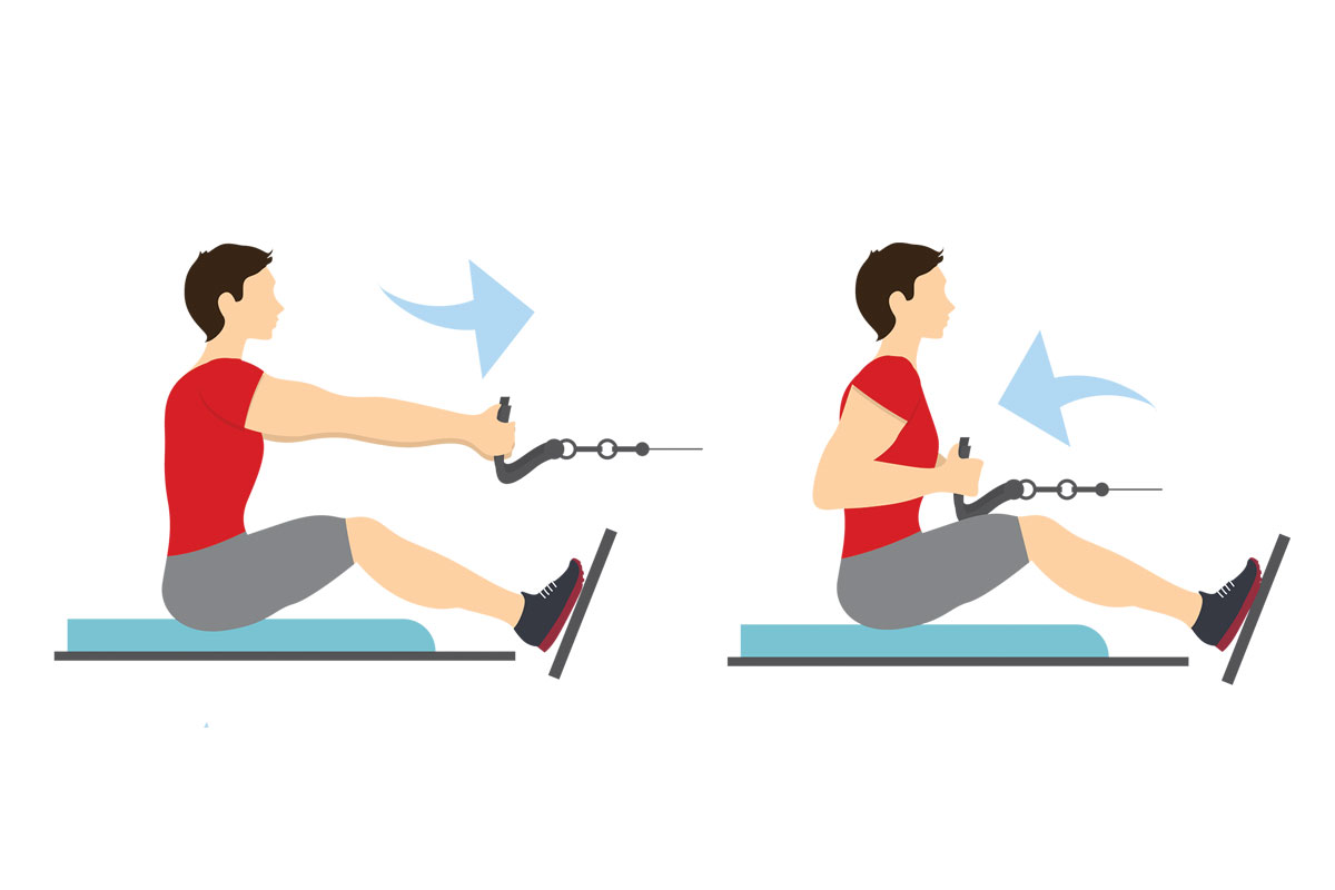 Программа тренировок в зале на массу