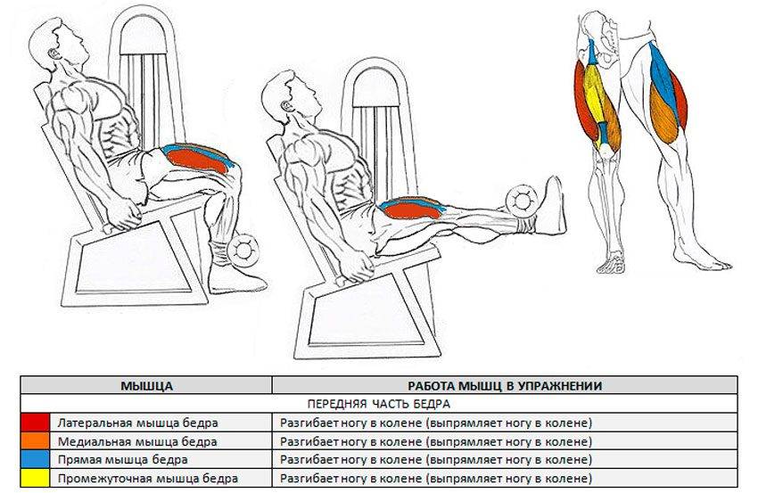 Сгибание ног лежа в тренажере