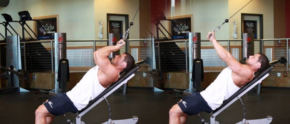 Концентрированный подъем на бицепс: варианты стоя, сидя и в кроссовере