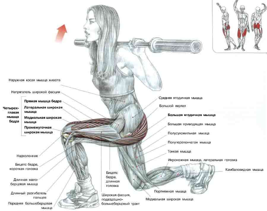 Упражнения в зале для женщин после 50 лет