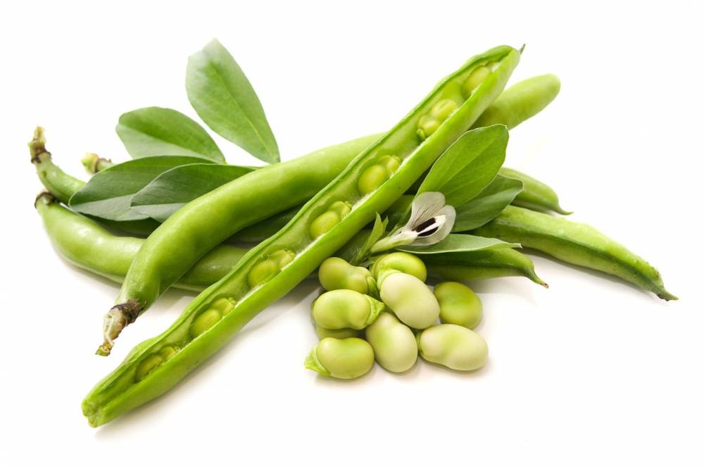 Мальтодекстрин