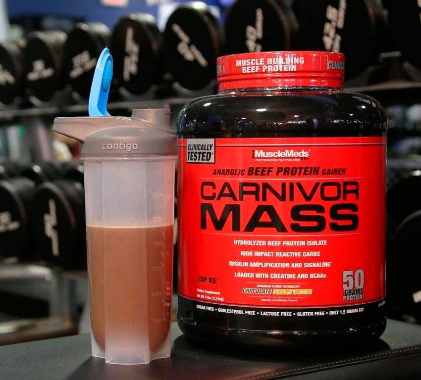 Carnivor от MuscleMeds