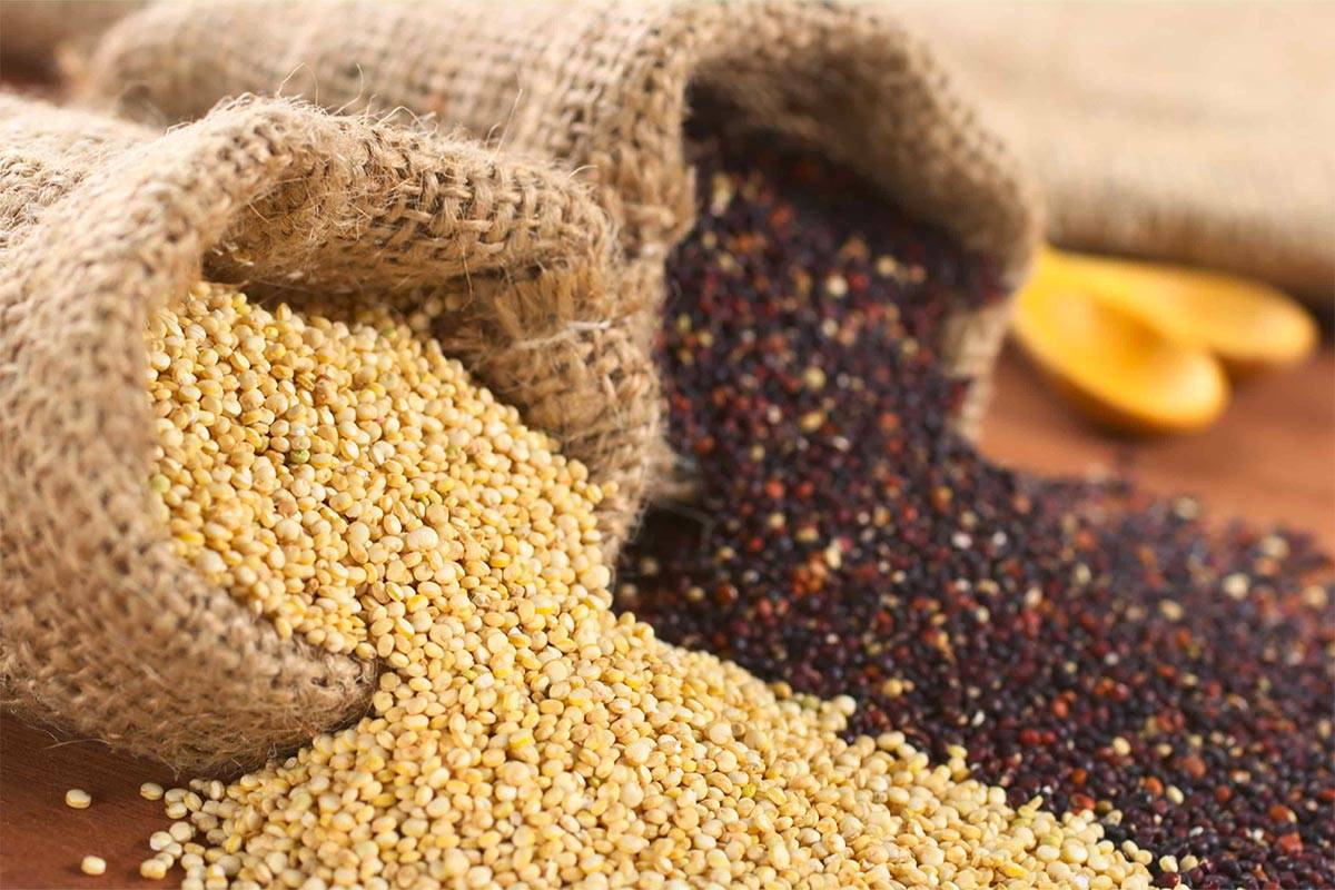 В каких продуктах содержится клетчатка: список лучших источников клетчатки для похудения и здоровья пищеварительной системы