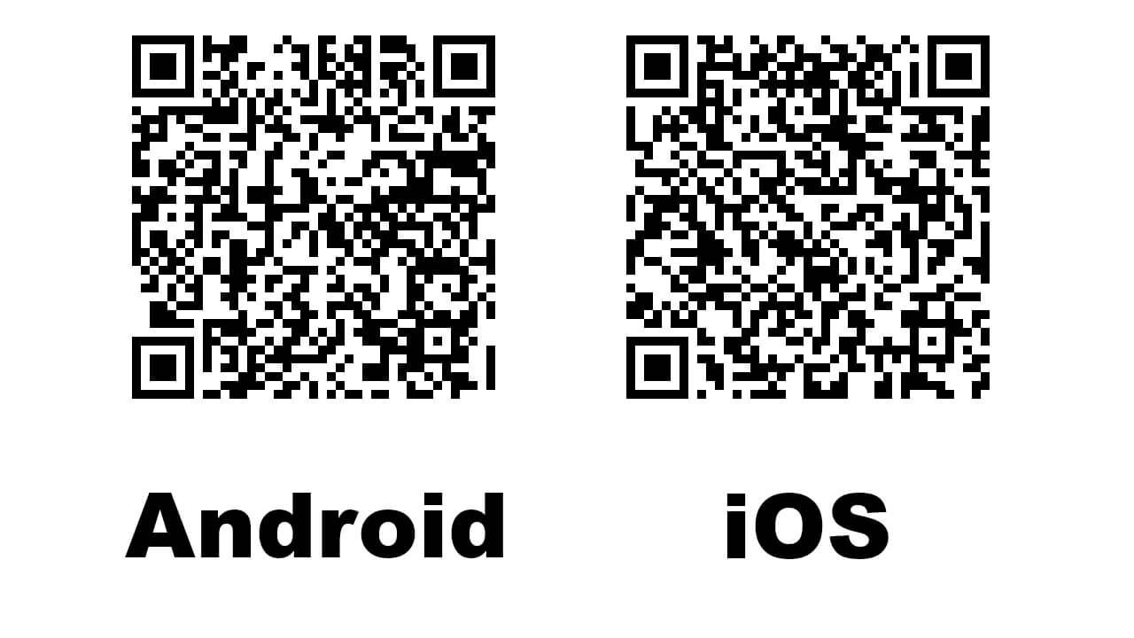 Упражнения для растяжки шпагата, чтобы быстро сесть на шпагат с нуля