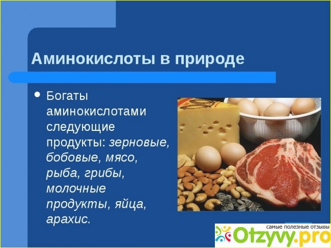 Заменимые и незаменимые аминокислоты в продуктах питания: таблица, список