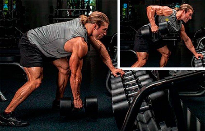 От чего зависит успех в бодибилдинге?