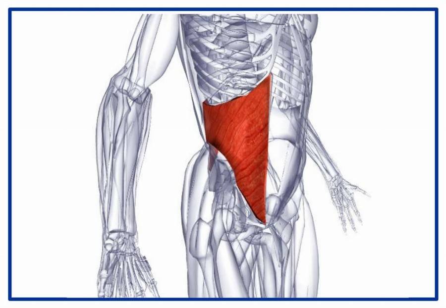 Упражнения на верхний пресс