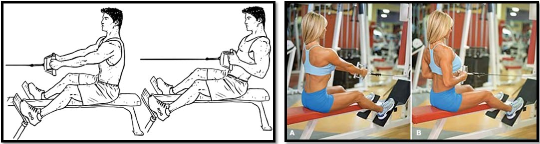 Тяга горизонтального блока к поясу