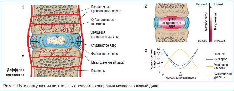 Хондропротекторы: рейтинг по эффективности 7 препаратов из топ списка лучших