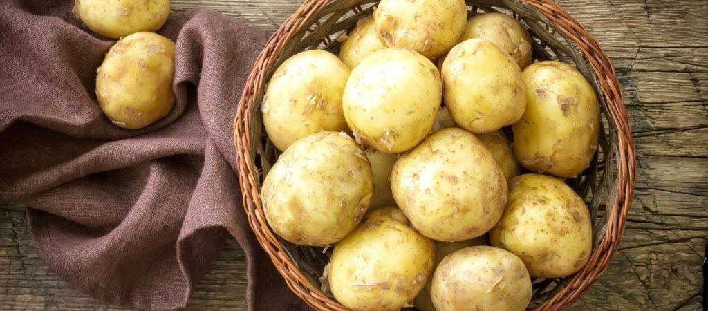 Картофель в бодибилдинге