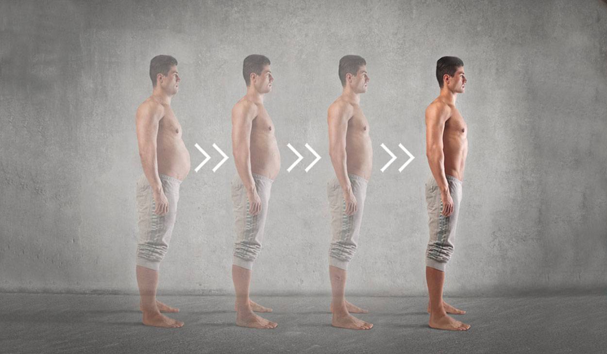 Почему накапливается жир