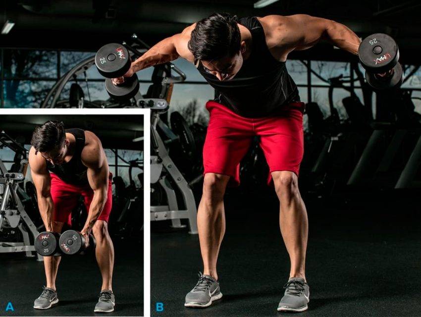 Наклоны с гантелями в стороны: техника выполнения стоя для живота и пресса