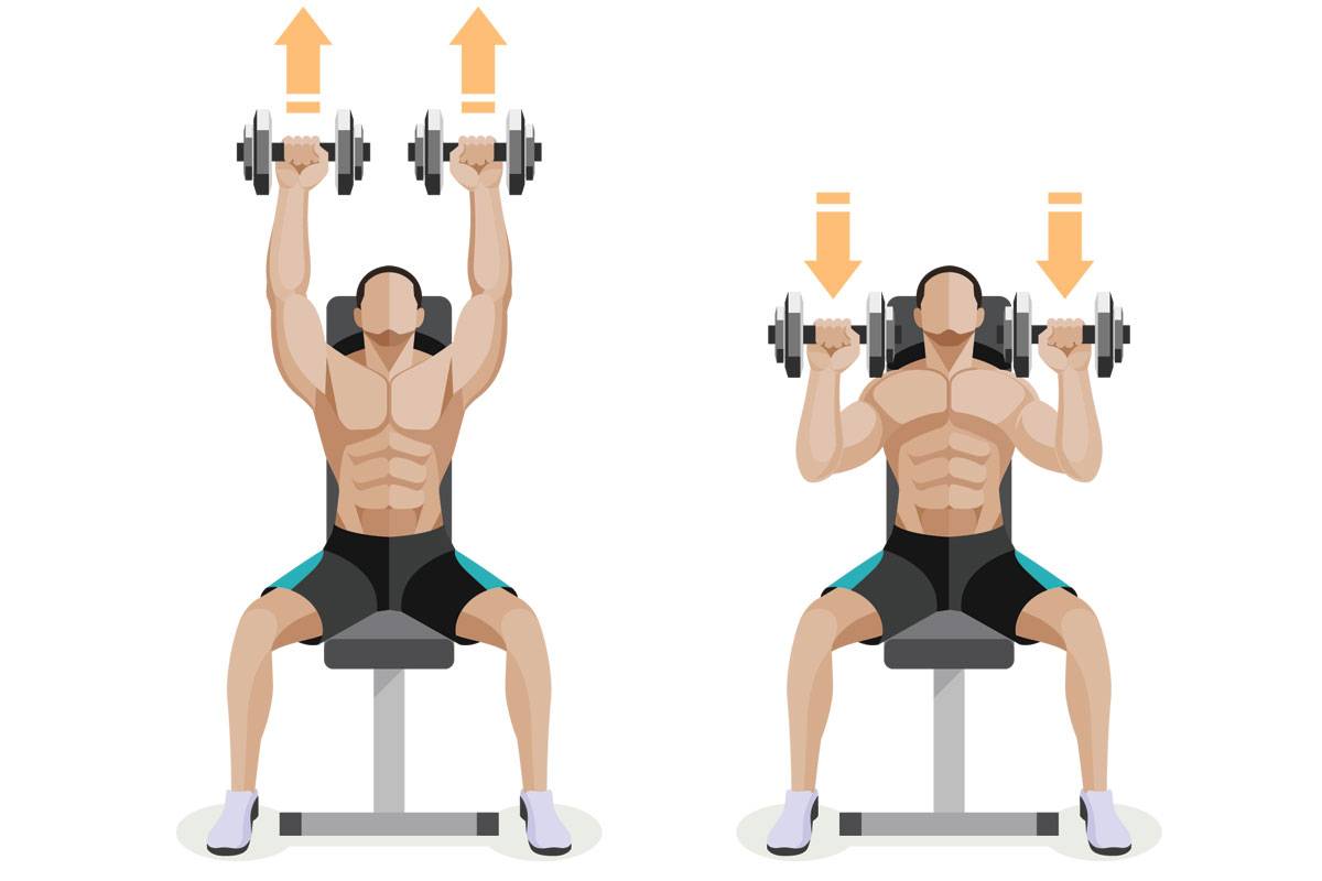 Тренировка рук и плеч