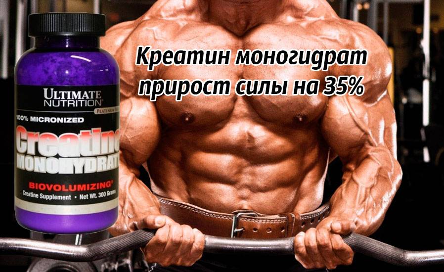 Performance Creatine от San