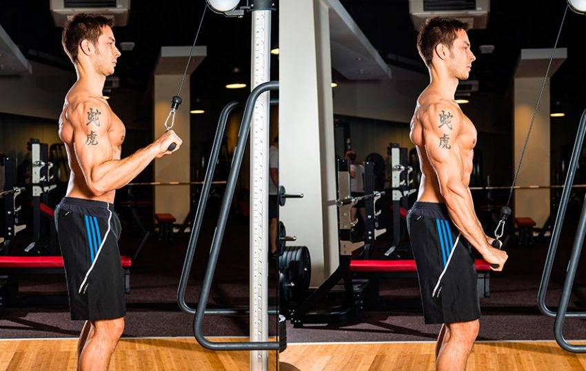 Разгибание рук с верхнего блока хватом снизу