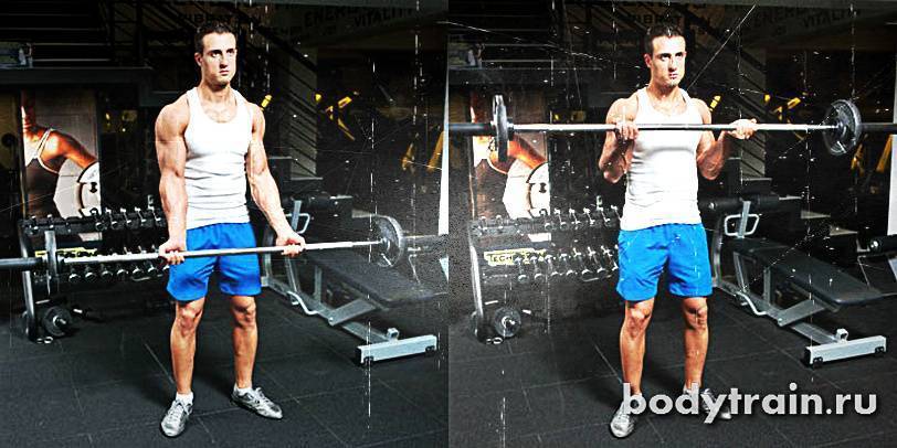Тренировка спины и бицепса в один день