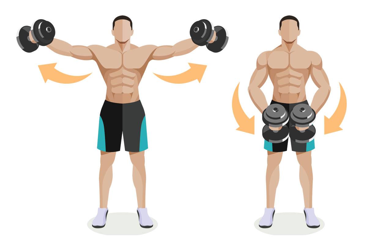 Тренировка рук и плеч