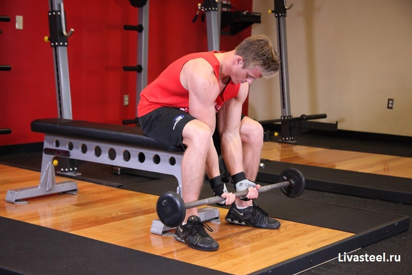 Паучьи сгибания рук