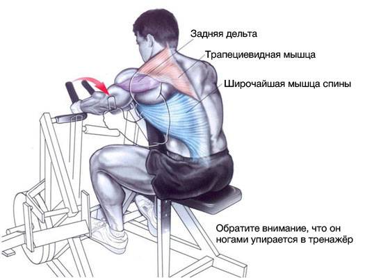Упражнения для спины в тренажерном зале и в домашних условиях