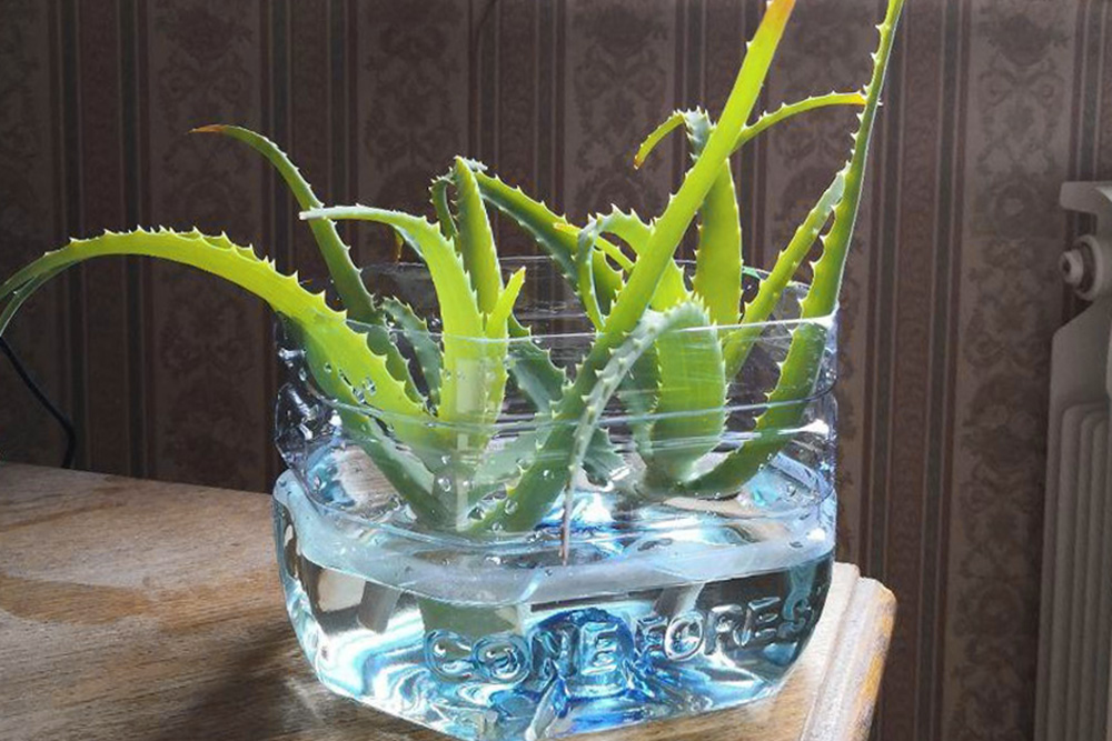 Школьный учитель питался в МакДональдсе и скинул 30 кг за 6 месяцев + еще 3 реальных истории