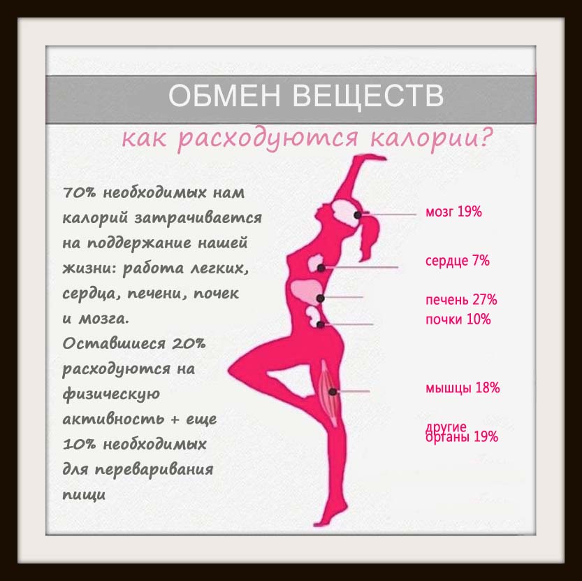 Лчшие продукты. сжигающие жир на животе и боках в организме человека