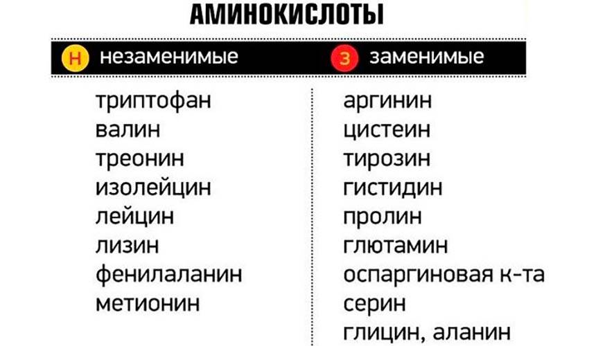 Цистин: применение в спорте, плюсы и минусы аминокислоты